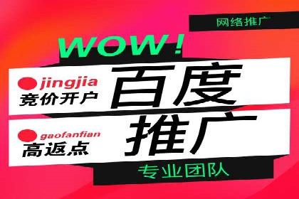SEM竞价推广案例：低成本高效益的秘诀揭秘